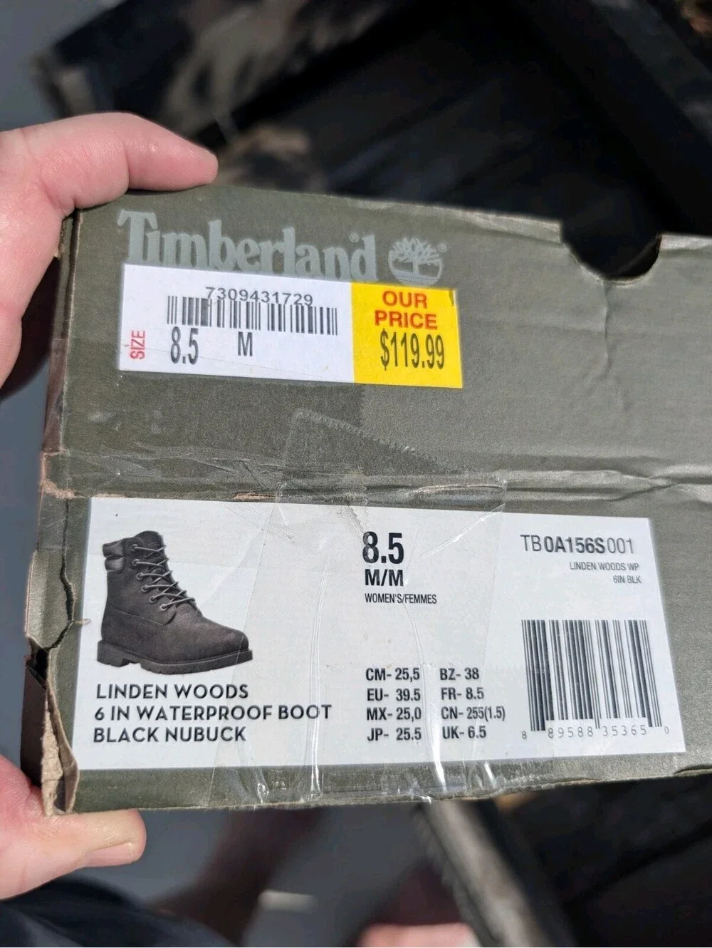 Timberland Linden Woods 6